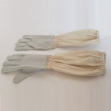 Elite X Large Gloves